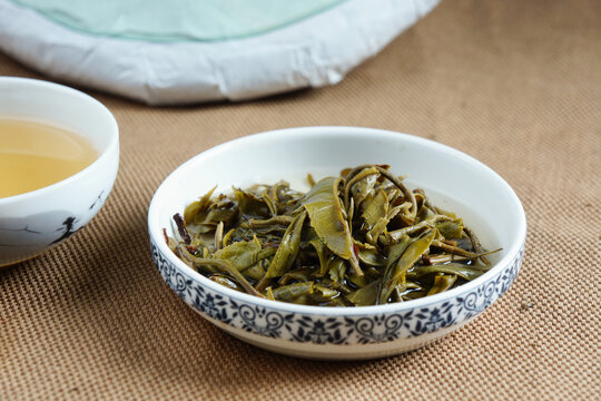 云南普洱茶生茶困鹿山叶底