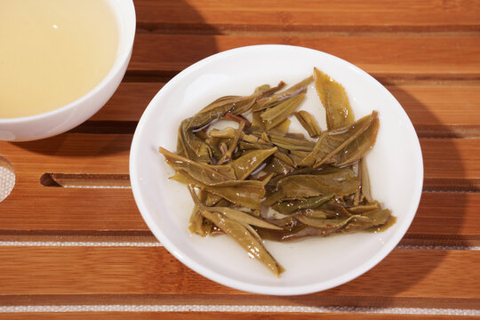 云南普洱茶生茶弯弓叶底
