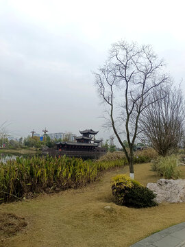 公园风景