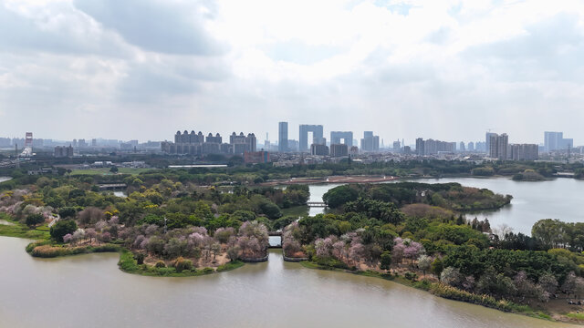 海珠湖公园