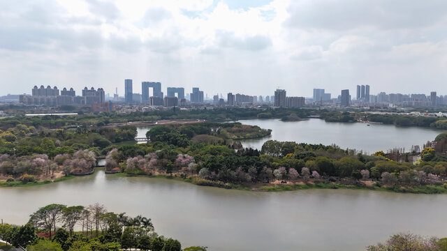 海珠湖公园