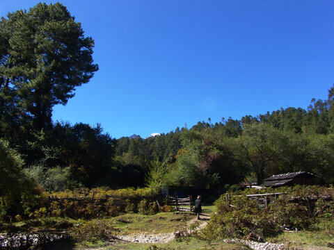 林中小木屋