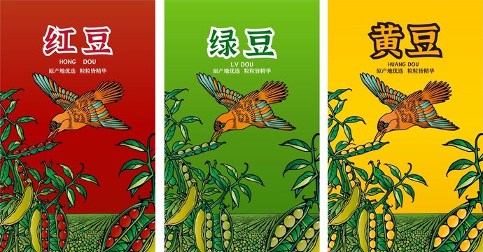 杂粮包装插画