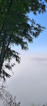 迷雾重重