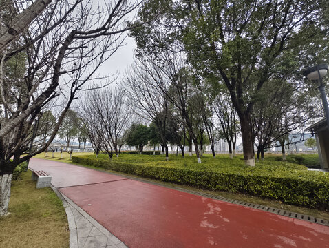 公园游道与绿植