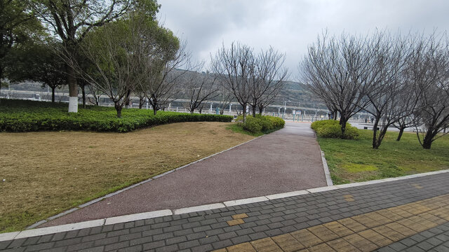 公园梅花与绿植