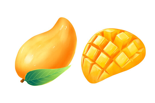 芒果手绘插画