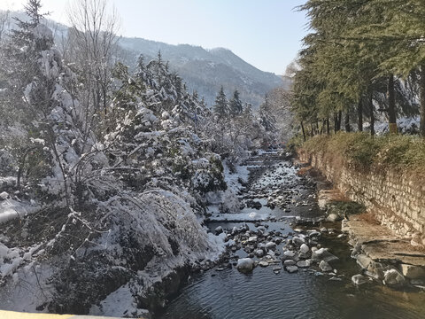 雪景
