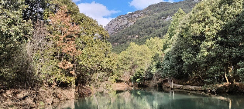 青山