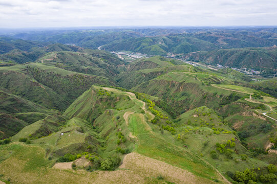 青山
