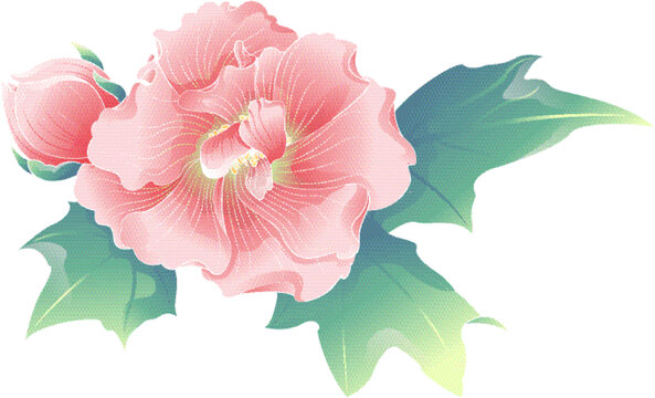 成都市花芙蓉花矢量图