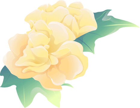 成都市花芙蓉花矢量图