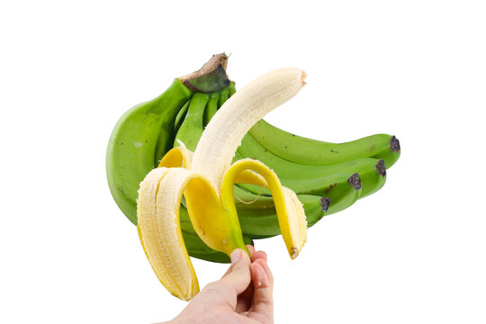 香蕉