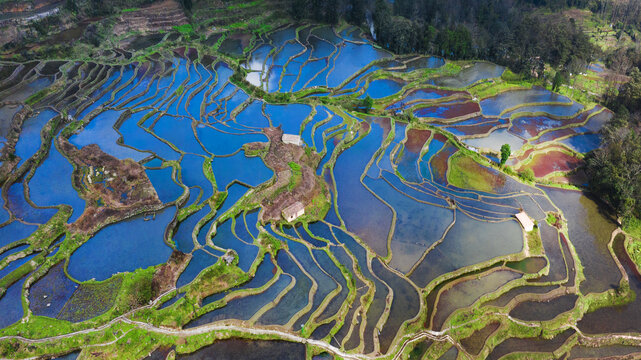 元阳梯田