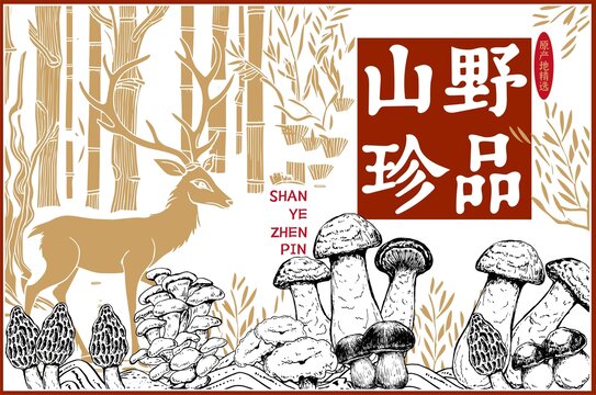 山珍菌菇包装