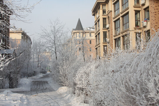 雪景