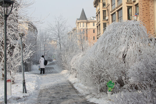 雪树银花