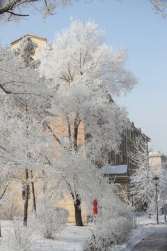 小区雪景