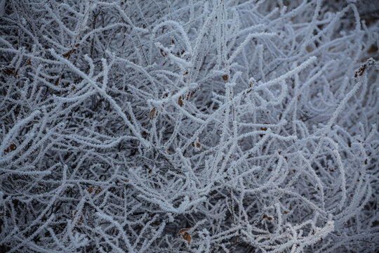 雪景