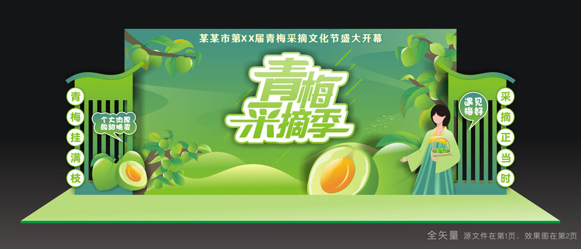 青梅采摘季