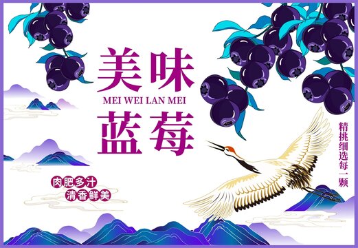 蓝莓包装插画