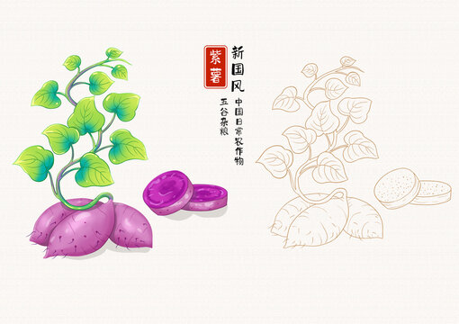 紫薯插画