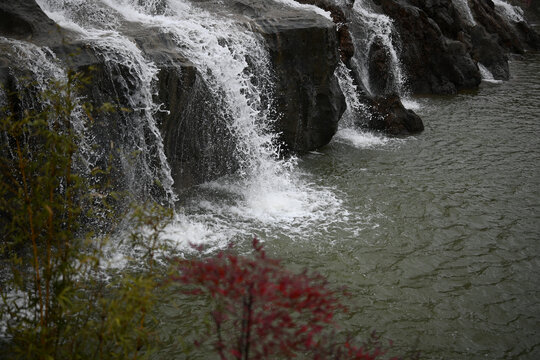 水花