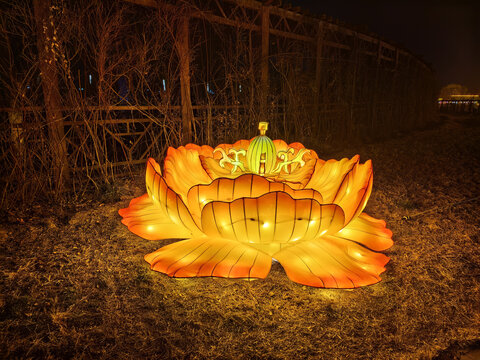 花灯莲华花灯高清春节花灯