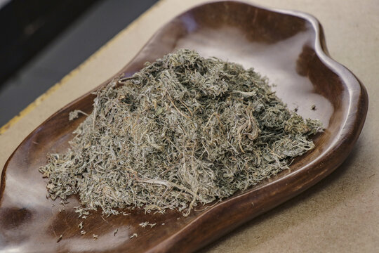 茵陈
