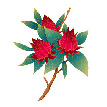 国潮风洛神花中药免抠元素