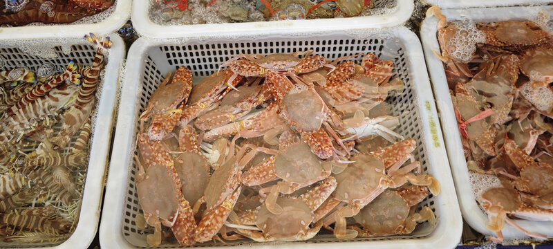 海鲜档口