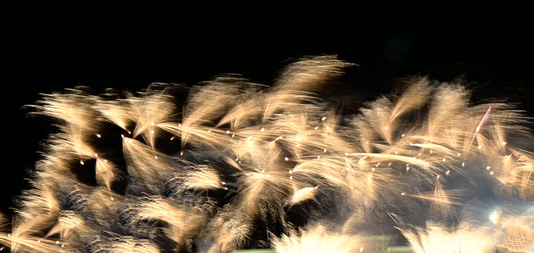 烟花