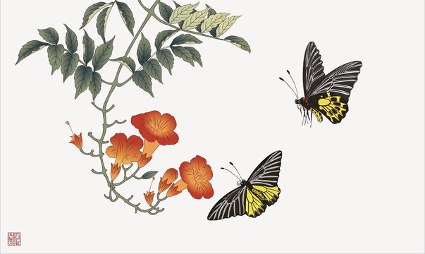 凌霄花金裳凤蝶花鸟画设色