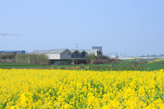 春季踏青