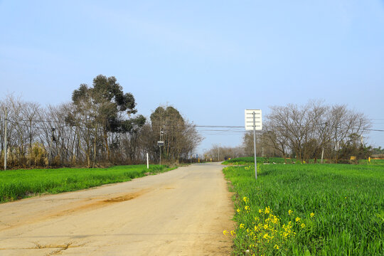 小麦地田园风光高清大图