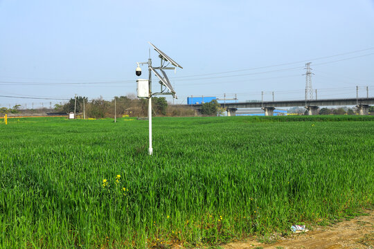 小麦地田园风光高清大图