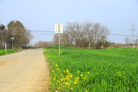 小麦地田园风光高清大图