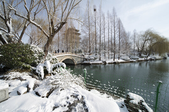 雪后大明湖