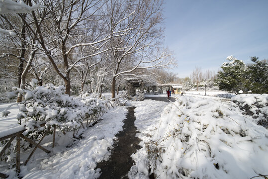 雪后大明湖