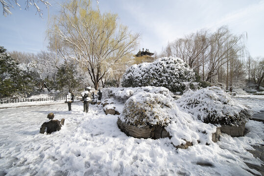 雪后大明湖