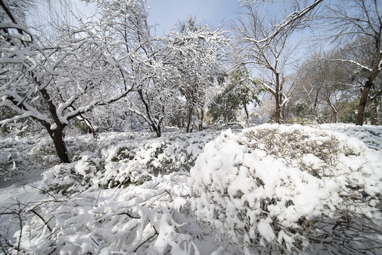 雪后大明湖