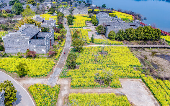 赣州赣县区夏浒古村油菜花开美如画