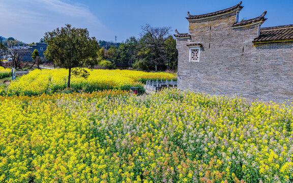 赣州赣县区夏浒古村油菜花开美如画