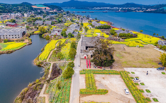 赣州赣县区夏浒古村油菜花开美如画