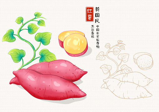 红薯插画