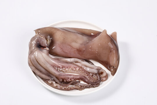 鱿鱼