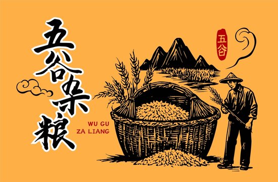 五谷杂粮包装插画