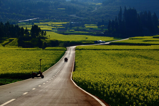 罗平道路