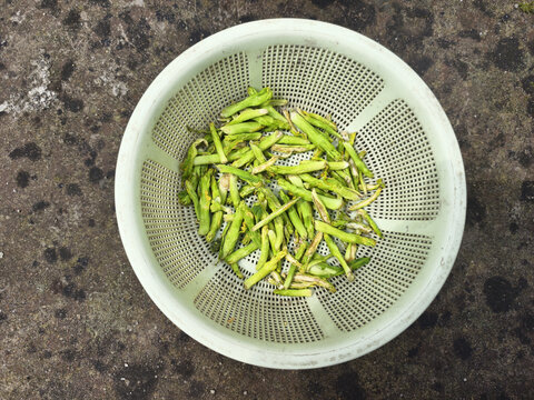 晒菜干