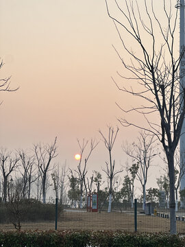 清晨